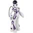 Wow Wee Toys Femisapien Humanoid Robot